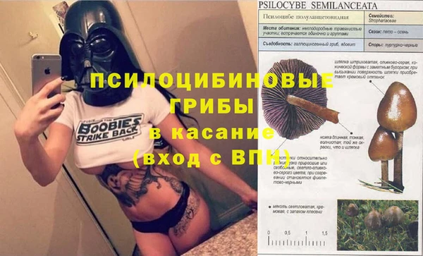 спиды Верея