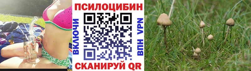 купить закладку Октябрьский Галлюциногенные грибы Psilocybe